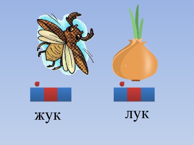 Жук схема слова 1 класс