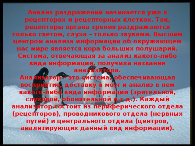 Анализ раздражений начинается уже в рецепторах и рецепторных клетках. Так, рецепторы органа зрения раздражаются только светом, слуха – только звуками. Высшим центром анализа информации об окружающем нас мире является кора больших полушарий. Система, отвечающая за анализ какого-либо вида информации, получила название анализатора.  Анализатор – это система, обеспечивающая восприятие, доставку в мозг и анализ в нем какого-либо вида информации (зрительной, слуховой, обонятельной и т.д.). Каждый анализатор состоит из периферического отдела (рецепторов), проводникового отдела (нервных путей) и центрального отдела (центров, анализирующих данный вид информации).