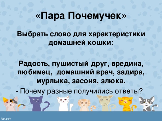 Кошка корень слова