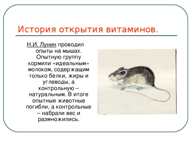 Мыши николаев. Опыт Лунина с мышами. Н И Лунин опыт с мышами. Лунин эксперимент с мышами.