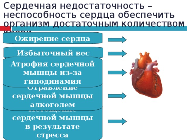 Сердечная недостаточность – неспособность сердца обеспечить организм достаточным количеством крови. Ожирение сердца Избыточный вес Атрофия сердечной мышцы из-за гиподинамия Отравление сердечной мышцы алкоголем Истощение сердечной мышцы в результате стресса 