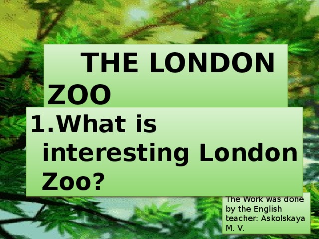  THE  LONDON ZOO 1.What is interesting London Zoo ? The Work was done by the English teacher: Askolskaya M. V. 
