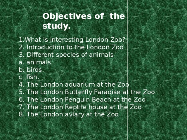 Objectives of the study. 1.What is interesting London Zoo? 2. Introduction to the London Zoo 3. Different species of animals a. animals. b. birds. c. fish. 4. The London aquarium at the Zoo 5. The London Butterfly Paradise at the Zoo 6. The London Penguin Beach at the Zoo 7. The London Reptile house at the Zoo 8. The London aviary at the Zoo 