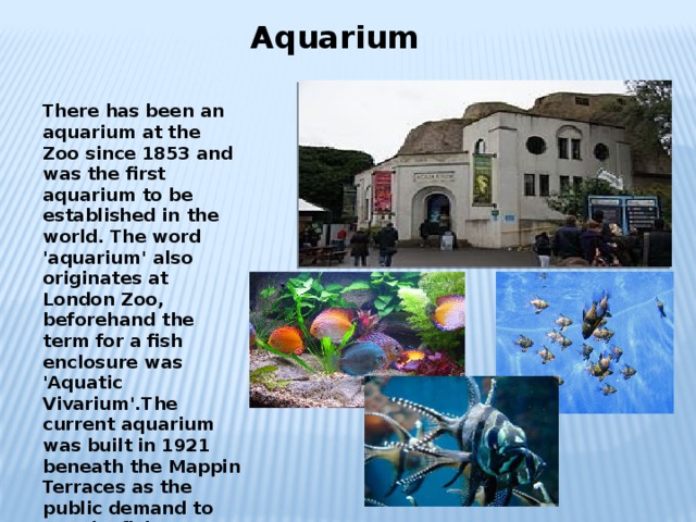  Aquarium There has been an aquarium at the Zoo since 1853 and was the first aquarium to be established in the world. The word 'aquarium' also originates at London Zoo, beforehand the term for a fish enclosure was 'Aquatic Vivarium'.The current aquarium was built in 1921 beneath the Mappin Terraces as the public demand to see the fish increased. In April 1924 King  George V with his wife Queen  Mary opened the aquarium 