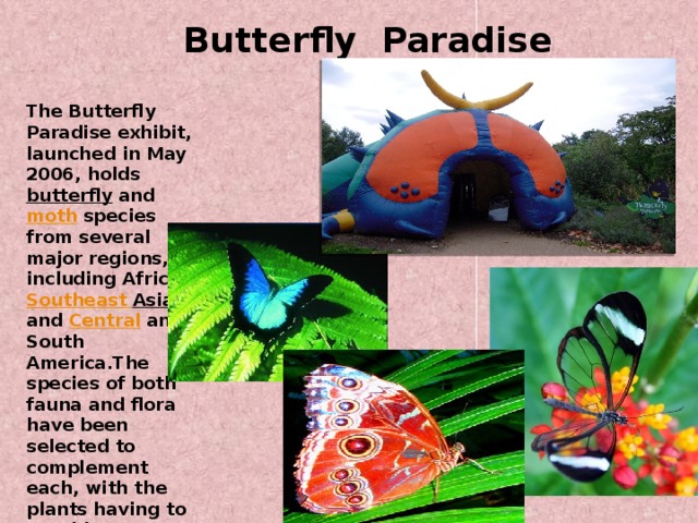  Butterfly Paradise The Butterfly Paradise exhibit, launched in May 2006, holds butterfly and moth species from several major regions, including Africa, Southeast  Asia , and Central and South America.The species of both fauna and flora have been selected to complement each, with the plants having to provide nectar and breeding areas for the animals. 