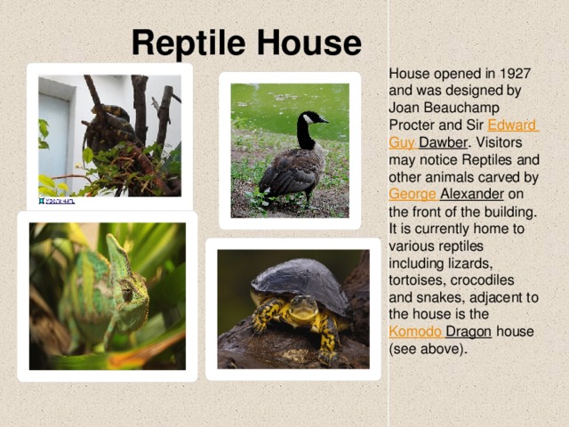  Reptile House House opened in 1927 and was designed by Joan Beauchamp Procter and Sir Edward  Guy  Dawber . Visitors may notice Reptiles and other animals carved by George  Alexander on the front of the building. It is currently home to various reptiles including lizards, tortoises, crocodiles and snakes, adjacent to the house is the Komodo  Dragon house (see above). 