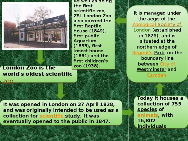 As well as being the first scientific zoo, ZSL London Zoo also opened the first Reptile house (1849), first public Aquarium (1853), first insect house (1881) and the first children's zoo (1938). It is managed under the aegis of the Zoological  Society  of  London  (established in 1826), and is situated at the northern edge of Regent's  Park , on the boundary line between City  of  Westminster and Camden  London Zoo is the world's oldest scientific zoo Today it houses a collection of 755 species of animals , with 16,802 individuals It was opened in London on 27 April 1828, and was originally intended to be used as a collection for scientific  study . It was eventually opened to the public in 1847. 