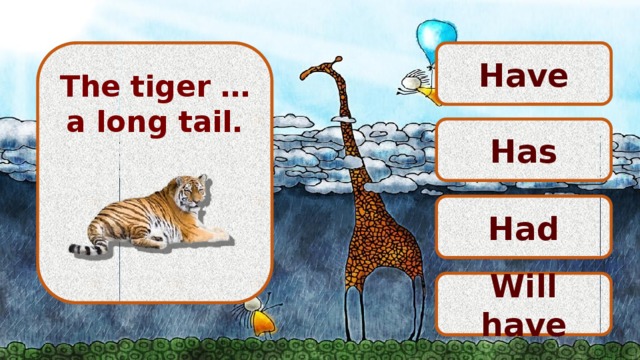 Have   The tiger … a long tail.       Has Had Will have 