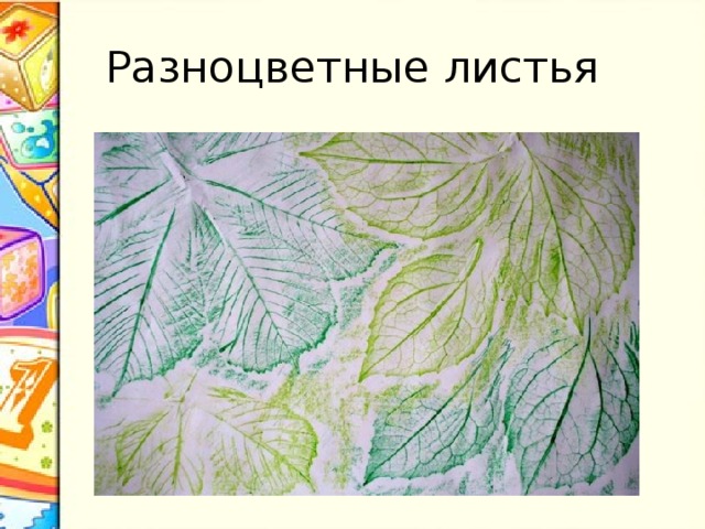 Разноцветные листья 