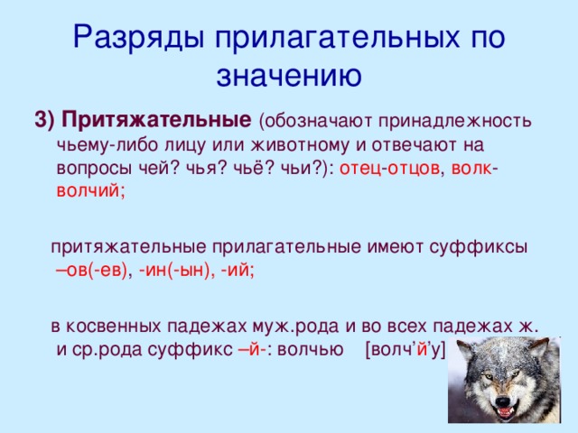 Придумай и запиши словосочетания по образцу волчий хвост волчья походка