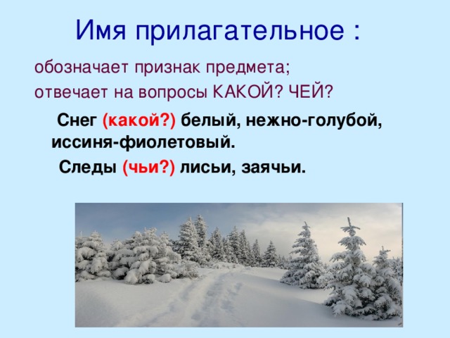 Имя прилагательное : обозначает признак предмета; отвечает на вопросы КАКОЙ? ЧЕЙ?  Снег  (какой?)  белый, нежно-голубой, иссиня-фиолетовый.  Следы (чьи?) лисьи, заячьи.