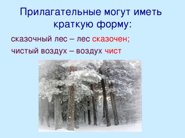 Прилагательные могут иметь  краткую форму: сказочный лес – лес сказочен; чистый воздух – воздух чист