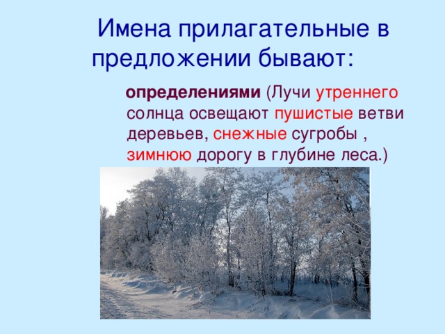 Имена прилагательные в предложении бывают:  определениями (Лучи утреннего солнца освещают пушистые ветви деревьев, снежные сугробы , зимнюю дорогу в глубине леса.)