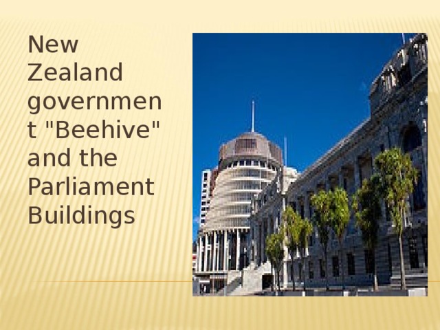 New Zealand government 