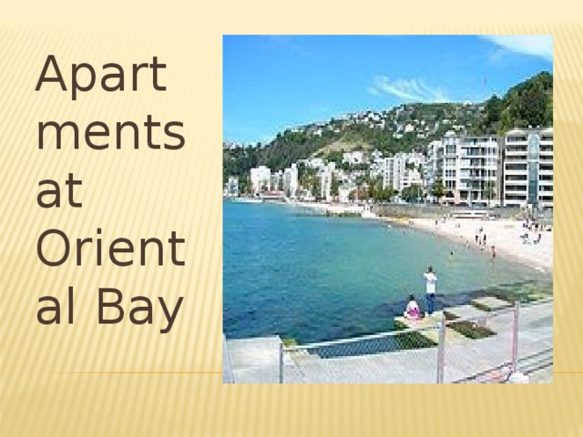 Apartments at Oriental Bay 