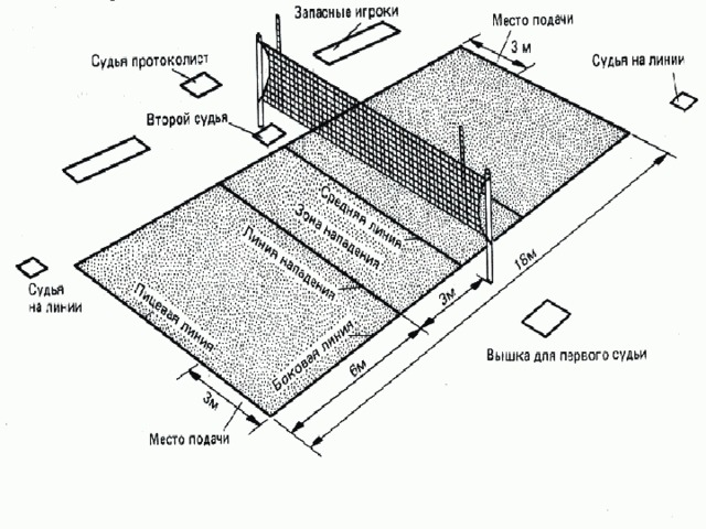 Волейбольная площадка сверху