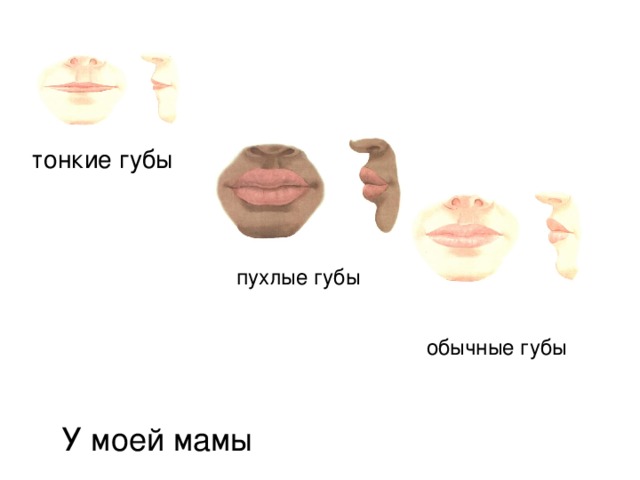 тонкие губы пухлые губы обычные губы У моей мамы 