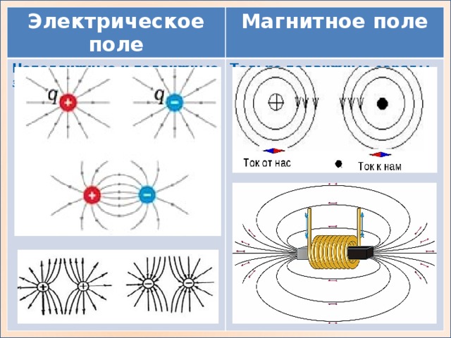 Электрическое поле Магнитное поле Неподвижные и подвижные заряды Только подвижные заряды 