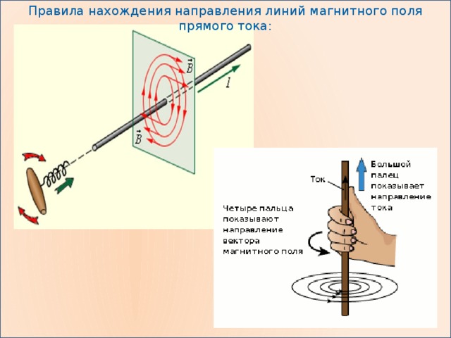 Правила нахождения направления линий магнитного поля прямого тока: 