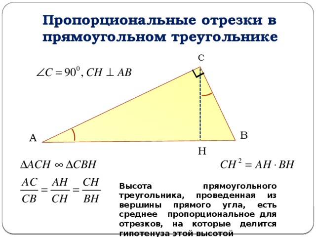 Пропорциональные отрезки в прямоугольном треугольнике С В А Н Высота прямоугольного треугольника, проведенная из вершины прямого угла, есть среднее пропорциональное для отрезков, на которые делится гипотенуза этой высотой 