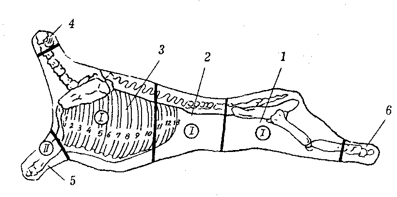 Разделка баранины схема