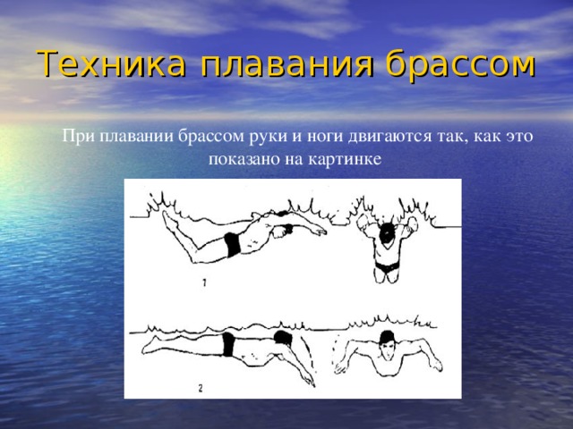 Техника плавания брассом  При плавании брассом руки и ноги двигаются так, как это показано на картинке 