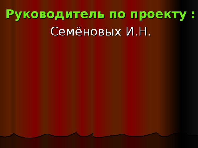 Руководитель по проекту : Семёновых И.Н. 