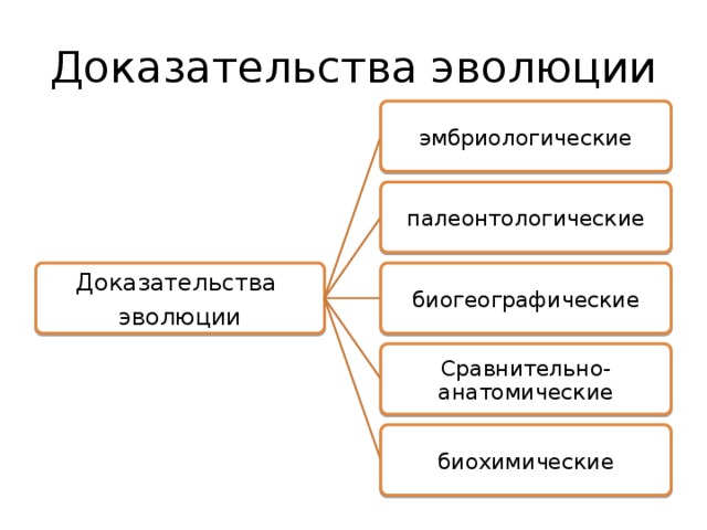 Доказательства эволюции схема 7 класс - 92 фото