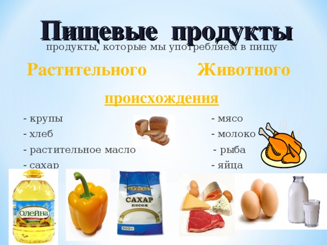 Продукты растительного происхождения. Продукты растительного происхождения и животного происхождения. Сахар в продуктах животного происхождения. Продукты животного происхождения содержащие сахар. Список продуктов животного происхождения.