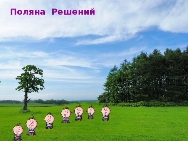 Поляна Решений