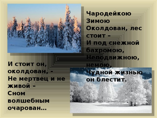 Стих чародейкою зимою. Чародейкою зимою околдован лес. И стоит он околдован не мертвец. Чародейкою зимою околдован лес олицетворение. Не мертвец и не живой сном волшебным очарован.