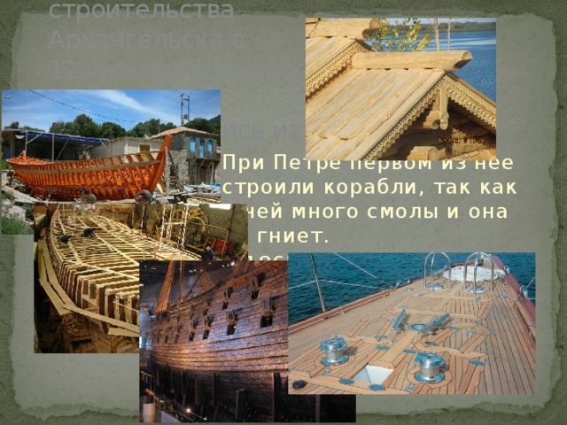 Во время строительства Архангельска в 12веке фундаменты зданий изготавливались из лиственницы. При Петре первом из нее строили корабли, так как в ней много смолы и она не гниет. В 1862 году в газете писали-»В Архангельском порту было построено 500 военных кораблей исключительно из лиственницы 