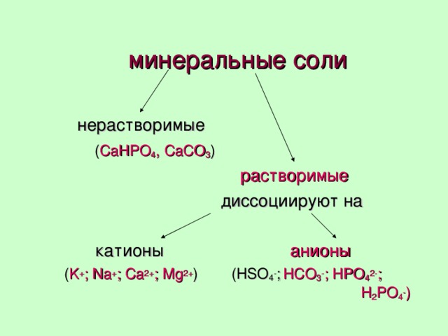минеральные соли  нерастворимые  ( CaHPO 4 , CaCO 3 )   растворимые   диссоциируют на катионы   анионы  ( K + ; Na + ; Ca 2+ ; Mg 2+ )  ( HSO 4 - ;  HCO 3 - ; HPO 4 2- ;  H 2 PO 4 - )  
