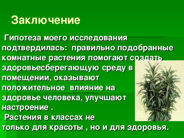 Влияние комнатных растений на здоровье человека проект 9 класс