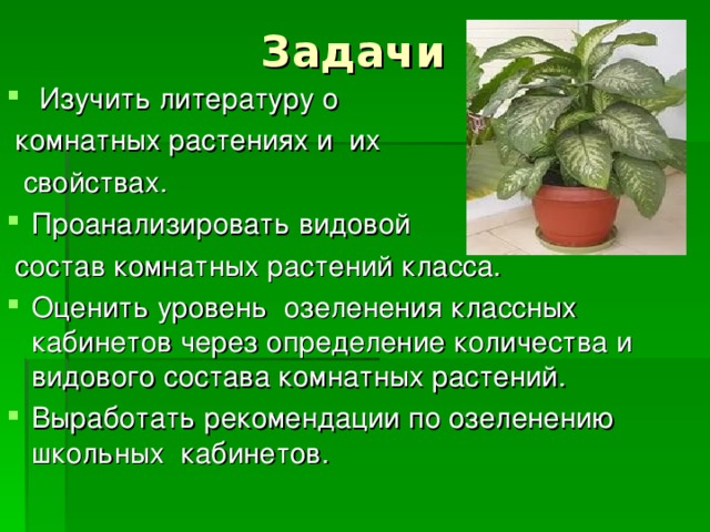 Задачи  Изучить литературу о  комнатных растениях и их  свойствах. Проанализировать видовой  состав комнатных растений класса. Оценить уровень озеленения классных кабинетов через определение количества и видового состава комнатных растений. Выработать рекомендации по озеленению школьных кабинетов.  