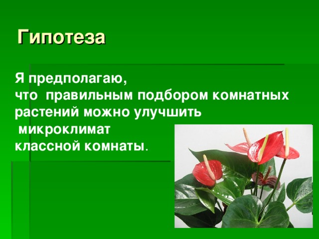 Гипотеза Я предполагаю, что правильным подбором комнатных растений можно улучшить  микроклимат классной комнаты . 