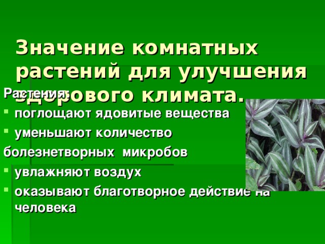  Значение комнатных растений для улучшения здорового климата.    Растения: поглощают ядовитые вещества уменьшают количество болезнетворных микробов увлажняют воздух оказывают благотворное действие на человека  