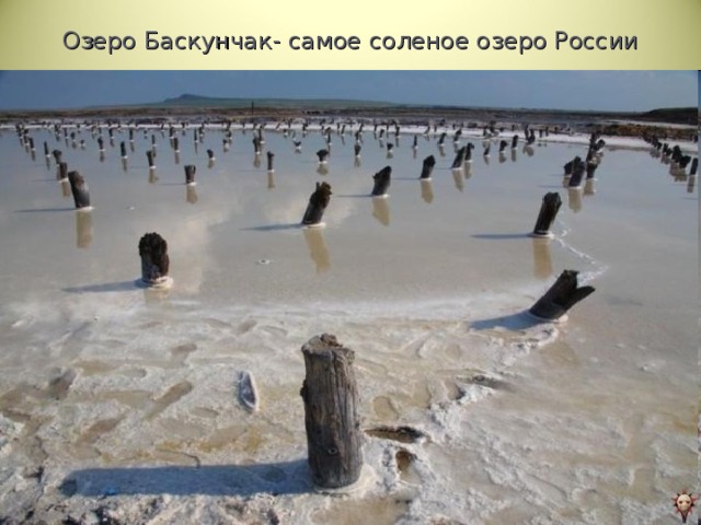 Озеро Баскунчак- самое соленое озеро России 