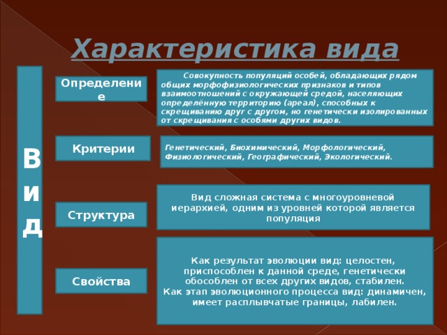 Определение понятия вид структура вида критерии вида презентация