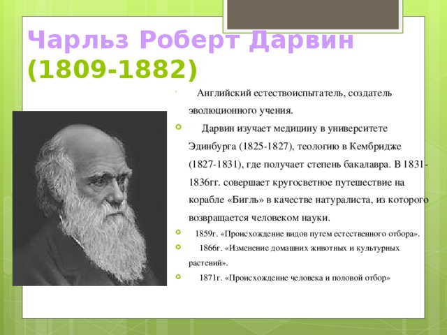 Дарвин презентация на английском