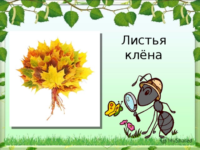 Презентация к уроку окружающего мира 1 класс когда наступит лето 1 класс