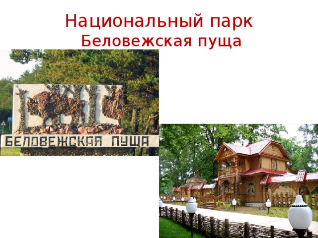 Презентация беловежской пущи