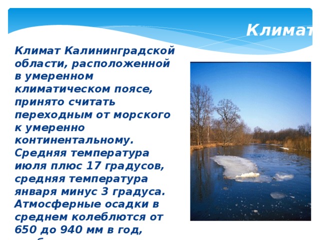 Климат калининграда. Климатический пояс Калининградской области. Проект климат Калининградской области. Средняя температура января в умеренно континентальном климате. Климат Калининградской области умеренный континентальный.