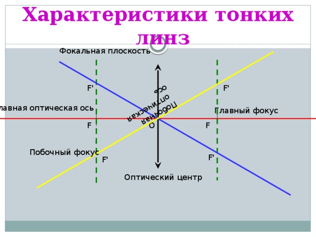 Характеристики тонких линз Побочная  оптическая ось Фокальная плоскость F' F ' Главная оптическая ось Главный фокус O F F Побочный фокус F' F' Оптический центр 