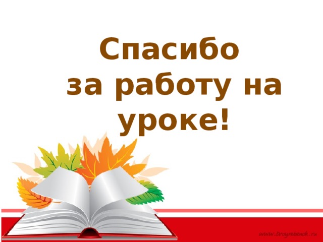 Спасибо за работу на уроке! 