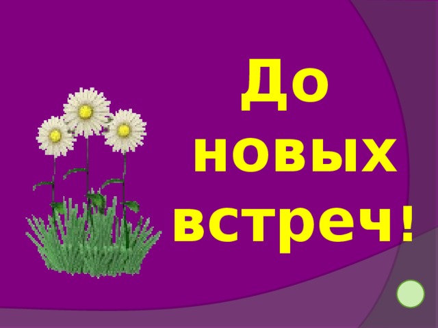 Красивая картинка до новых встреч