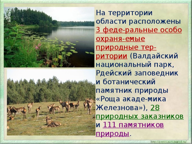 Презентация на тему валдайский национальный парк