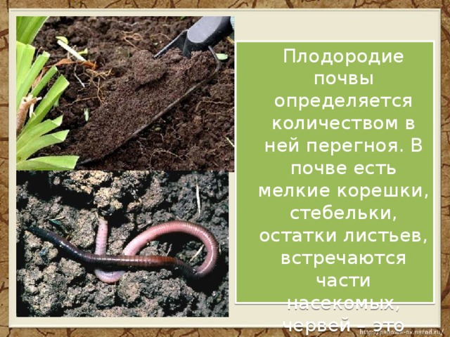 Что такое почва презентация 3 класс окружающий мир плешаков