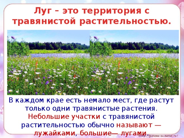 Технологическая карта окружающий мир 4 класс жизнь луга