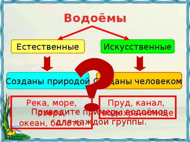 Примеры водоемов в россии 4 класс Жизнь в пресных водоемах 4 класс окружающий мир презентация школа россии Basan